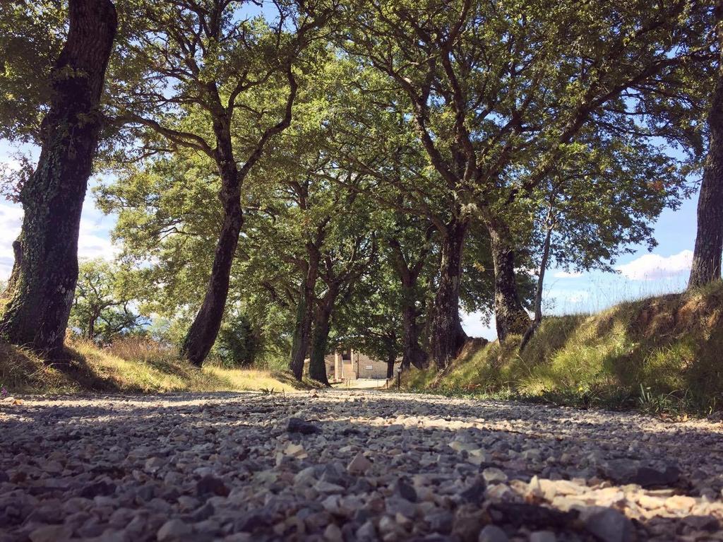 Agriturismo Ipoderi Chianciano Terme Bagian luar foto