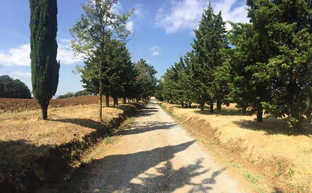 Agriturismo Ipoderi Chianciano Terme Bagian luar foto